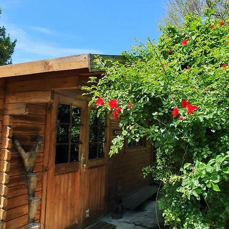 La Cabane Du Pesquier En Provence Caumont-sur-Durance Ngoại thất bức ảnh
