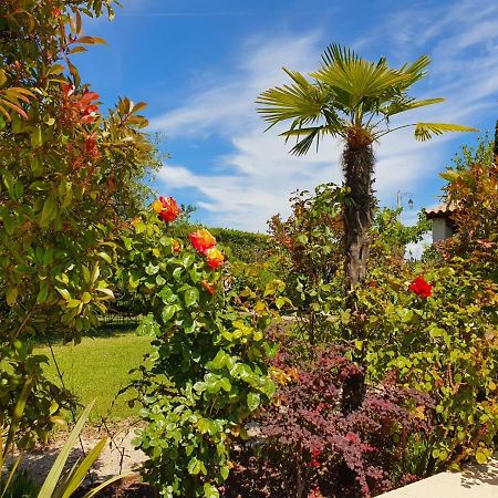 La Cabane Du Pesquier En Provence Caumont-sur-Durance Ngoại thất bức ảnh