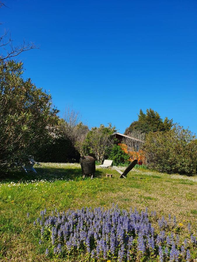 La Cabane Du Pesquier En Provence Caumont-sur-Durance Ngoại thất bức ảnh